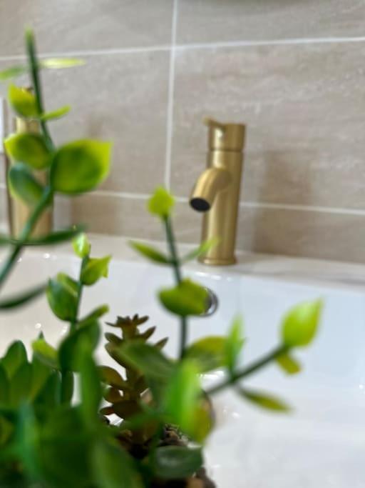 Cosy A 30 Minutes De Paris Apartment Les Pavillons-sous-Bois